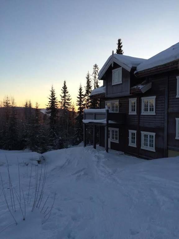 Flat In Trysil Ski In Ski Out And Sauna Zewnętrze zdjęcie